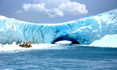 Iceberg animé 10