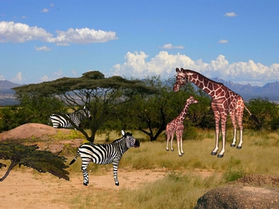 Jungle animée 4 - African safari